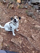 Clique pour agrandir ...