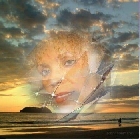 Clique pour agrandir ...