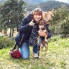 Clique pour agrandir ...