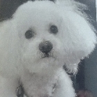 Clique pour agrandir ...