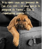 Clique pour agrandir ...